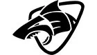 SALTSHAQ.webp
